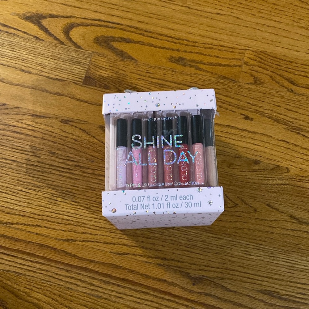 Shine All Day (15 Piece Lip Gloss)